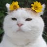 익명